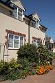 27. Primrose Garden